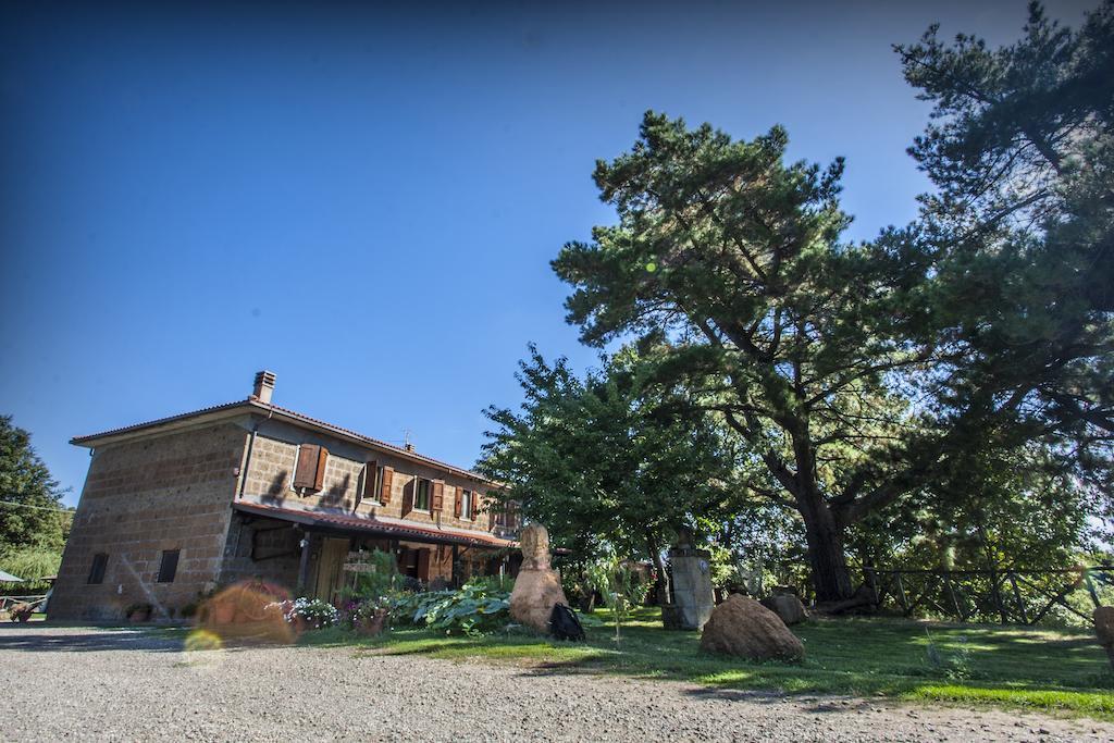 Bio Agriturismo Aia Del Tufo Sorano  Exterior photo
